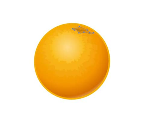 ai怎么画桔子效果图