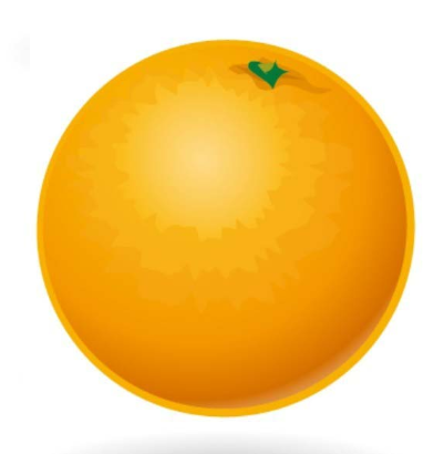 ai怎么画桔子效果图