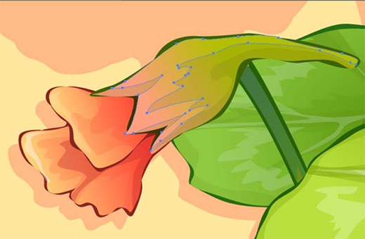 ai怎么绘制荷叶与荷花