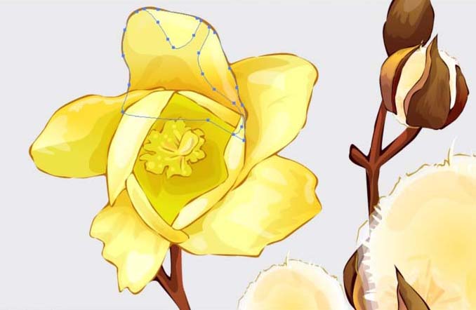 AI怎么画棉花图案