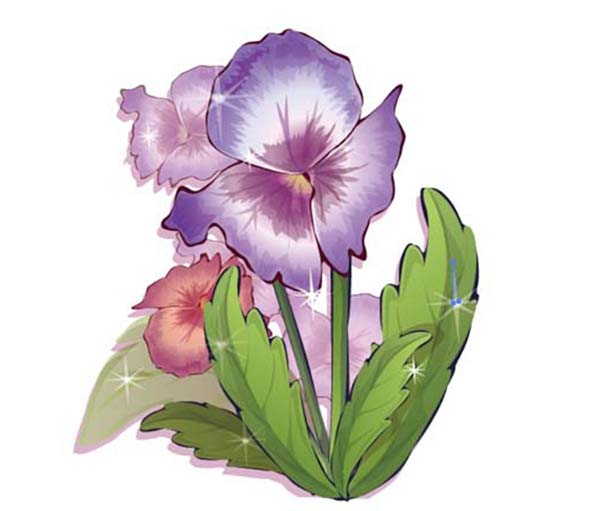 ai紫罗兰怎么画