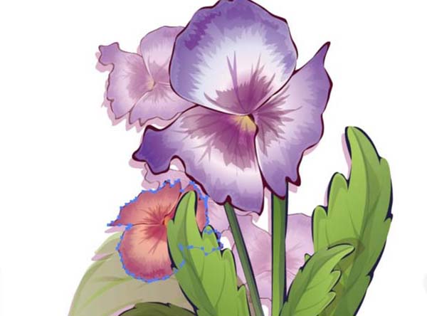 ai紫罗兰怎么画