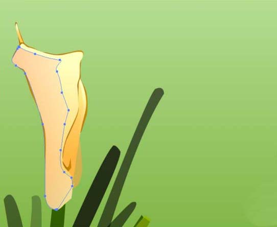 ai怎么画马蹄莲花束图片