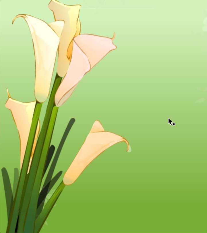 ai怎么画马蹄莲花束图片