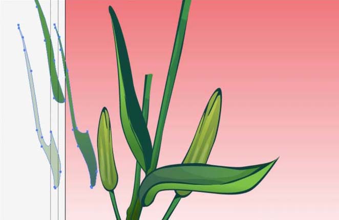 ai怎么画百合花效果图