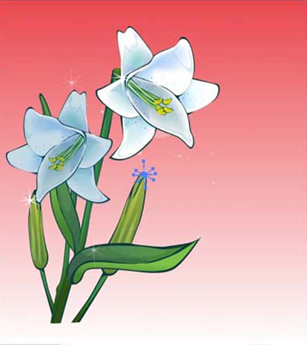 ai怎么画百合花效果图