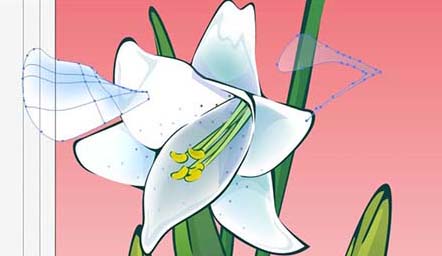 ai怎么画百合花效果图