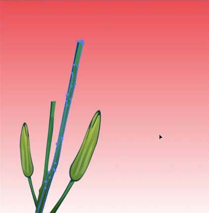 ai怎么画百合花效果图