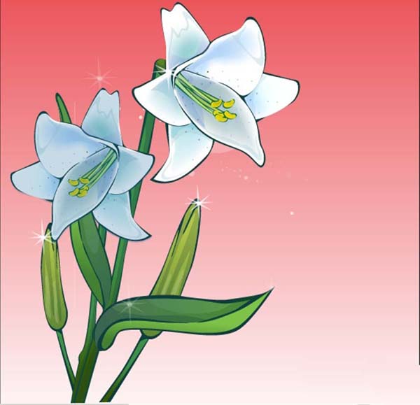 ai怎么画百合花效果图