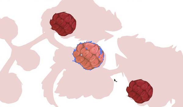 ai中绘制仿真水果