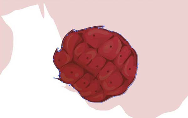 ai中绘制仿真水果