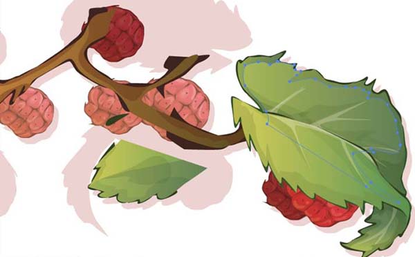 ai中绘制仿真水果