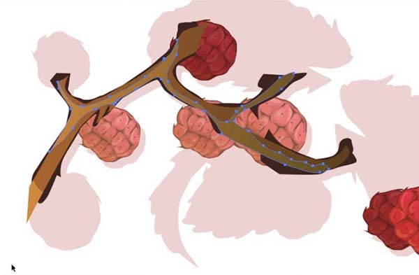 ai中绘制仿真水果