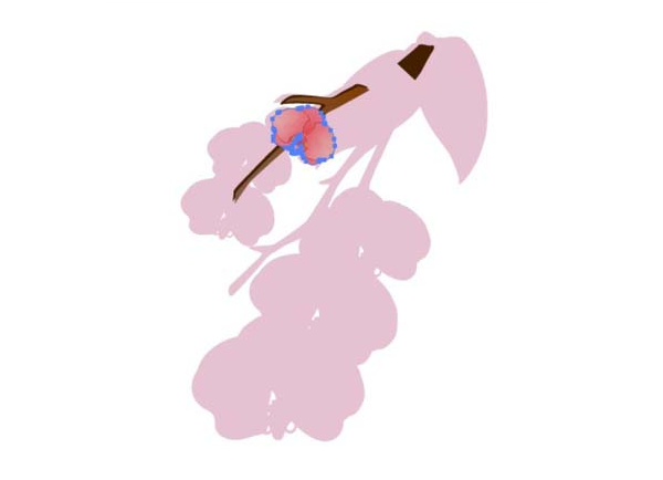 ai怎么画蝴蝶兰素材