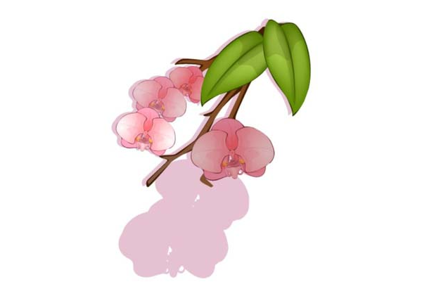 ai怎么画蝴蝶兰素材