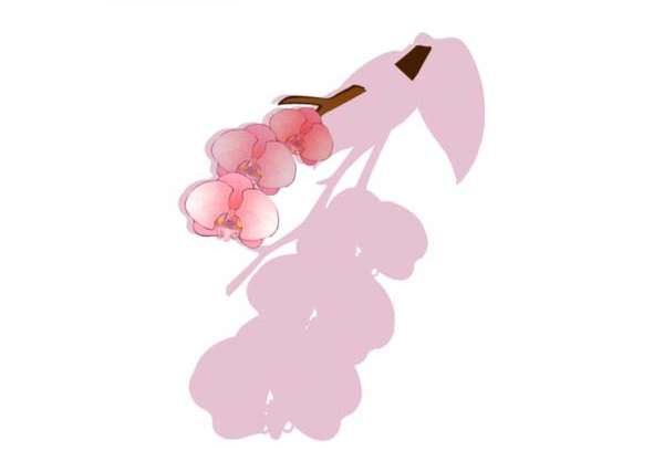 ai怎么画蝴蝶兰素材