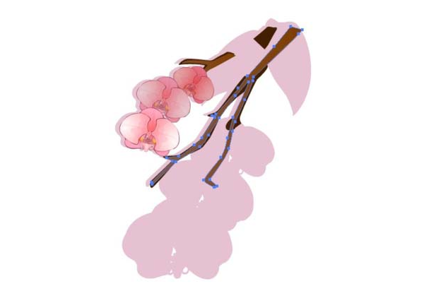 ai怎么画蝴蝶兰素材