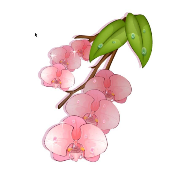 ai怎么画蝴蝶兰素材