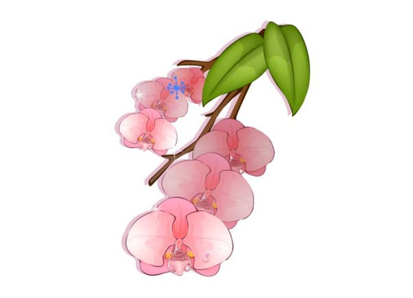 ai怎么画蝴蝶兰素材