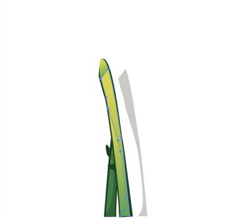 ai怎么画菊花图案