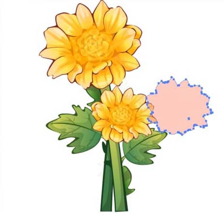 ai怎么画菊花图案