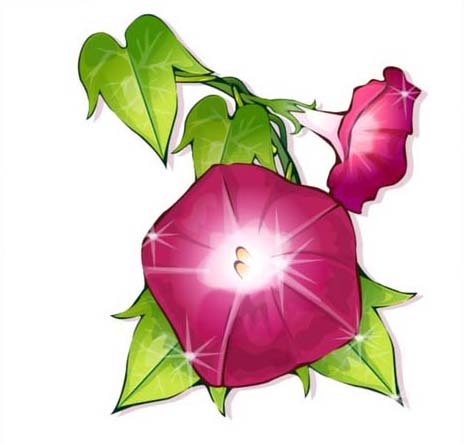 ai怎么画牵牛花图案