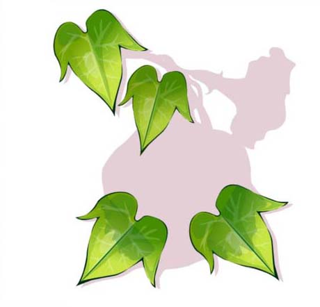 ai怎么画牵牛花图案