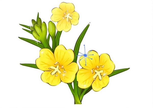 ai怎么画夜来香素材