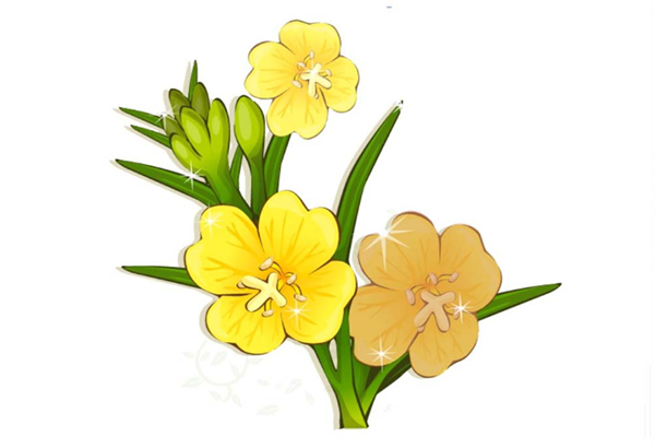 ai怎么画夜来香素材