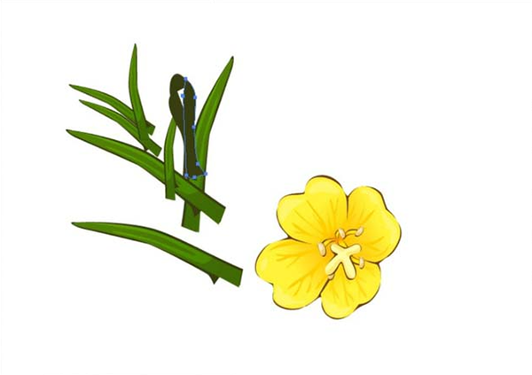 ai怎么画夜来香素材