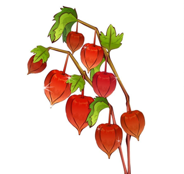 ai怎么画新鲜灯笼果