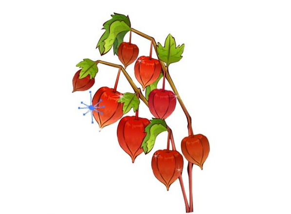 ai怎么画新鲜灯笼果