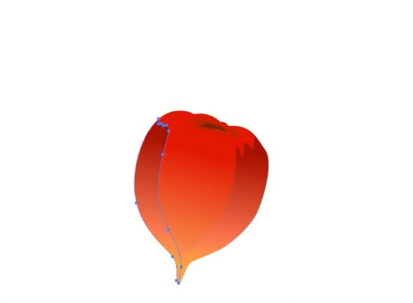 ai怎么画新鲜灯笼果