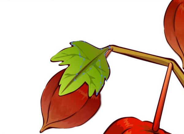 ai怎么画新鲜灯笼果