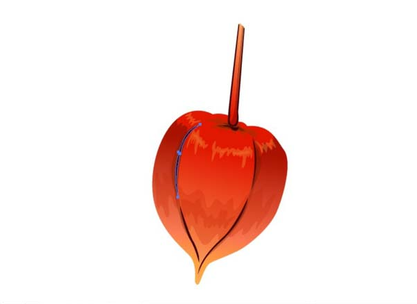 ai怎么画新鲜灯笼果