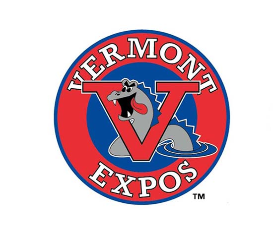 ai怎么设计expos标志