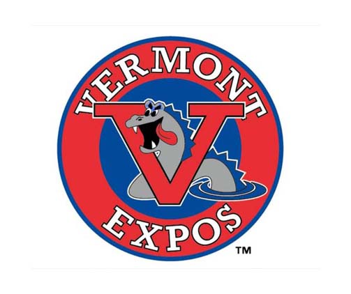 ai怎么设计expos标志