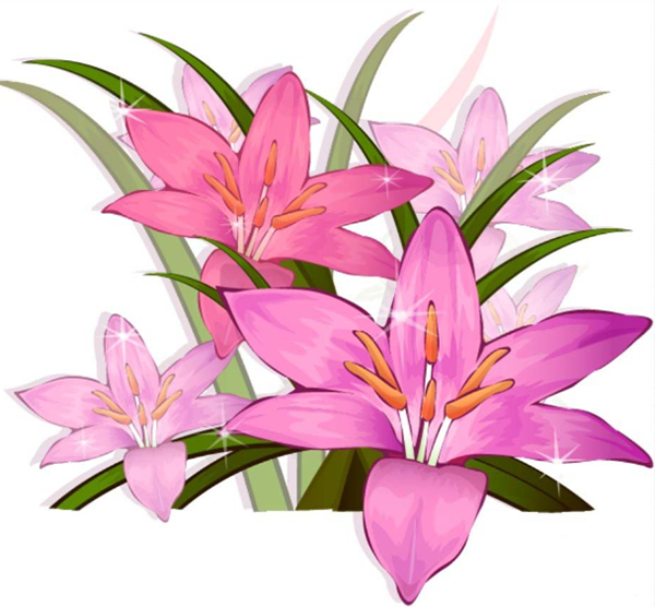 ai怎么画藏红花