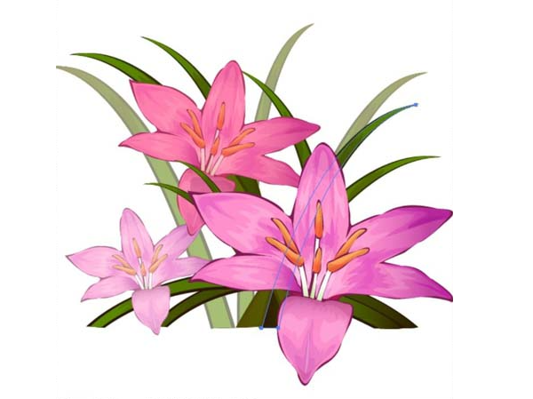 ai怎么画藏红花