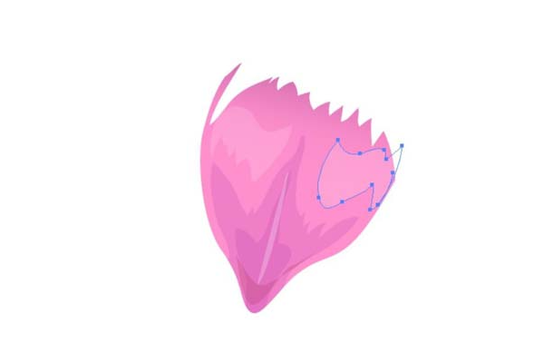 ai怎么画藏红花