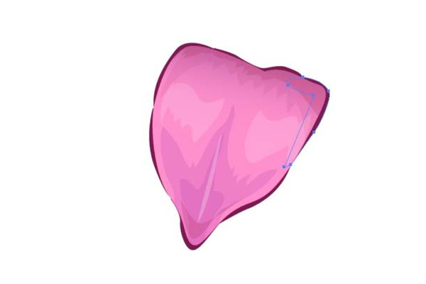 ai怎么画藏红花