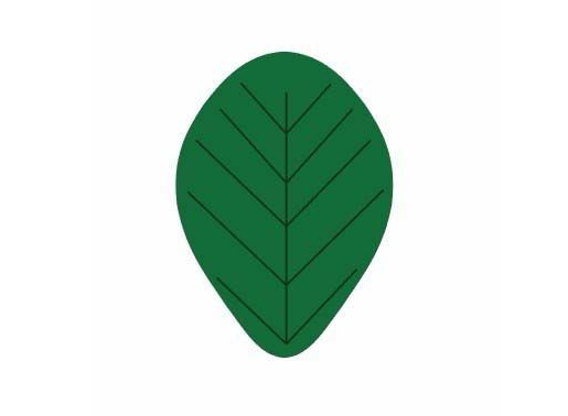 AI怎么画小树苗插画