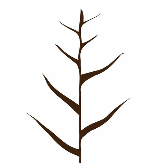 AI怎么画小树苗插画