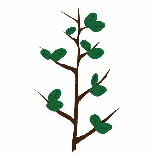 AI怎么画小树苗插画