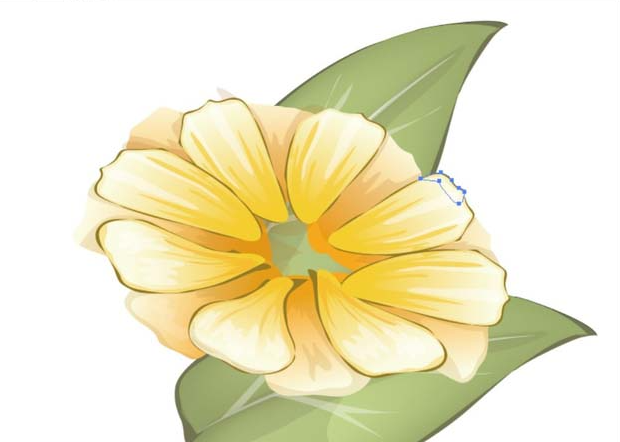 ai怎么画紫薇花的形状