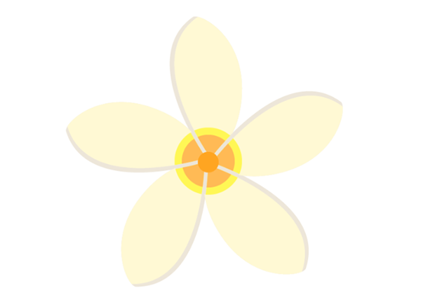 茉莉花矢量图怎么画