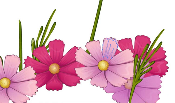 用AI设计波斯菊画法