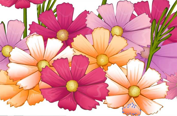 用AI设计波斯菊画法