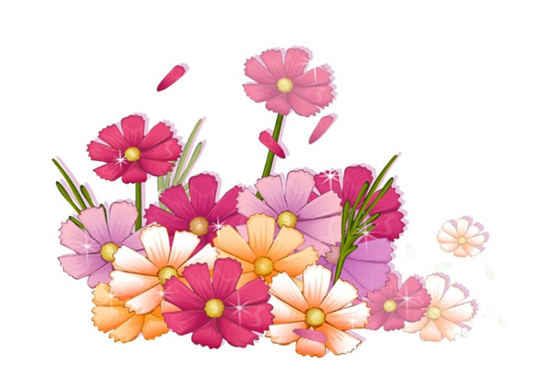 用AI设计波斯菊画法