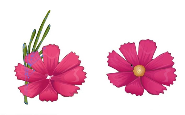 用AI设计波斯菊画法